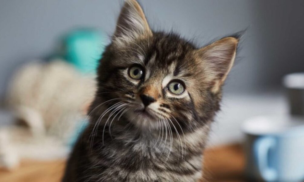 Bildergalerie Les richesses humaines au coeur de la stratégie d’entreprise : quels rôles et quels
enjeux pour les conseils d’administration ?