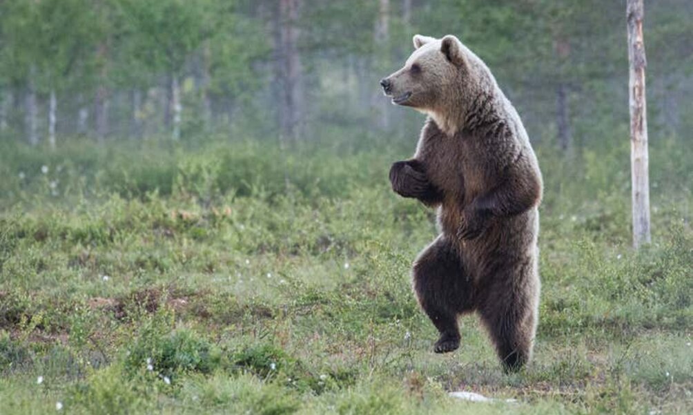 Bildergalerie Les richesses humaines au coeur de la stratégie d’entreprise : quels rôles et quels
enjeux pour les conseils d’administration ?